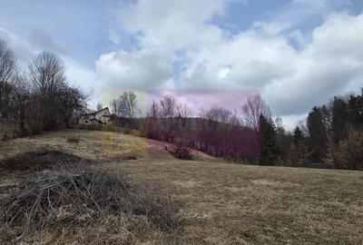 Spațiu comercial, în Secăria - 2