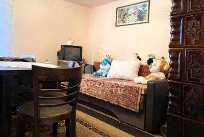 Teren generos si casa, in zona Gai - 14