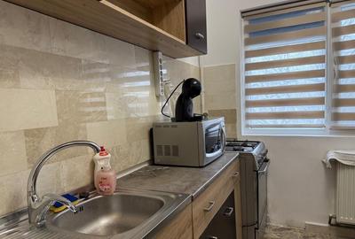 Apartament cu 2 camere semidecomandat, mobilat în Liviu Rebreanu - 8