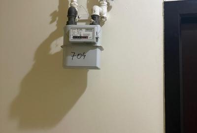 Apartament cu 3 camere decomandat în Dudu - 12