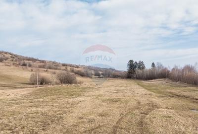 Teren Construcții intravilan de 4500 mp, în Tohanu Nou - 11