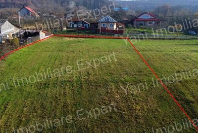 Teren de vanzare in comuna Baicule?ti, jude? Arge?. - 1