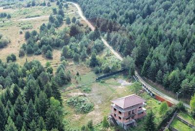 Teren 2,000mp Sacele / Strada Valea Larga - 4