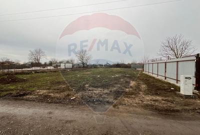 Teren Construcții intravilan de 1001 mp, în Islaz - 11