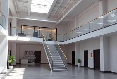 Spațiu comercial, de 700 mp, în Băneasa - 3