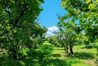 Casa situata in Samarinesti, sat Valea Bisericii - 14