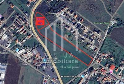 Spațiu comercial, în Șura Mare