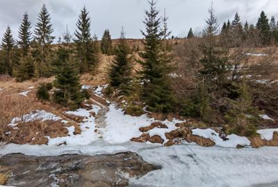 7858 mp TEREN SUPERB CU PARAU SI IZVOARE, BELIS - FANTANELE, Cluj - Transilvania - 10