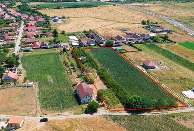 Teren Construcții intravilan de 8000 mp, în Biharia - 1