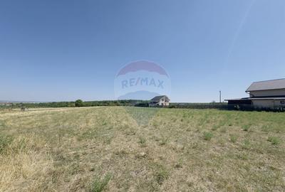 Teren Construcții intravilan de 2841 mp, în Apateu - 4