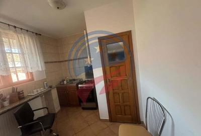 Casă cu 3 camere cu Teren 4000 Mp în Filiași - 3