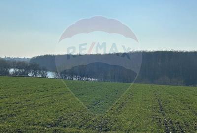 DE VANZARE intravilan LAC, Moara Vlasiei, Caldarusani TER... - 2