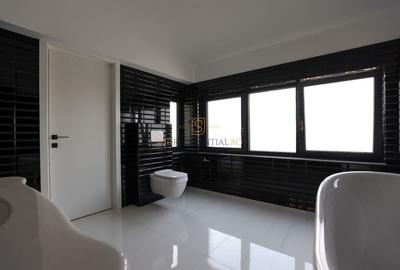 Apartament tip duplex, ideal birouri, 7 camere, Zona Parcul Carol - 15