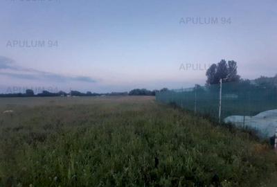 Teren aproape de Bucuresti langa padure - 12