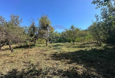 Teren de 4101 mp, în Coruia - 9