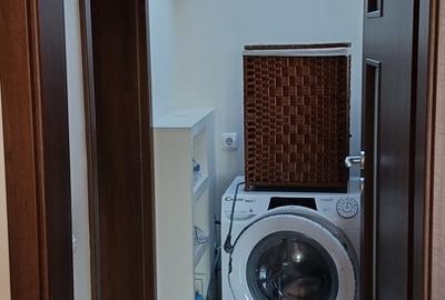 Clinceni, str. Putul Olteni - 3