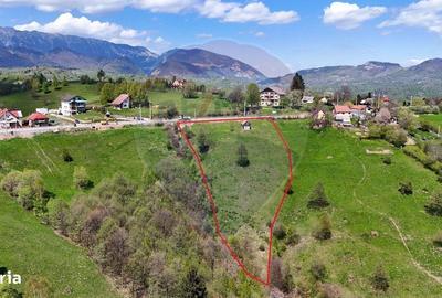 Teren de 2847 mp, în Moieciu - 5