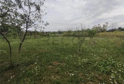 Casă cu 5 camere cu Teren 1550 Mp în Suplacu de Barcău - 2