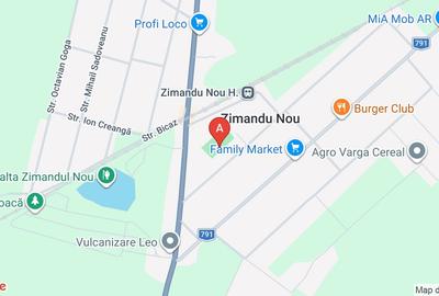 Casă individuală cu 2 camere cu Teren 1630 Mp în Zimandu Nou - 1