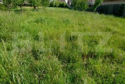 Teren Construcții intravilan de 893 mp, în Brestei - 1