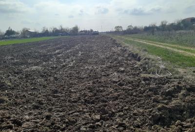 Tartasesti teren intravilan 2441 mp, Teren, Vanzare - 5