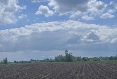 Teren extravilan, 7800mp, Burla - 10