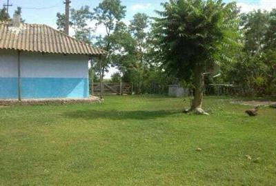 Vand casa ?i gradina mare. - 1