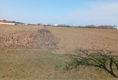 Spațiu comercial, în Apa - 4