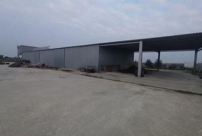 Exclusivitate Hala Padureni 400000 euro - 2