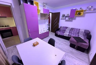 Apartament cu 3 camere semidecomandat în Valea Rosie - 6