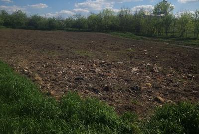 Casă cu 4 camere în Fiscut - 6