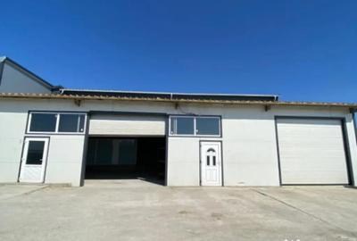 Spațiu comercial, de 220 mp, în Malu Mare - 16