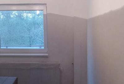 Proprietar - Vand apartament 2 camere Micalaca - 1