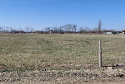Teren de 11000 mp, în Prejmer - 5