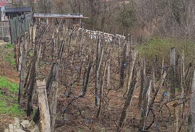 Teren de 1167 mp, în Măgura - 2