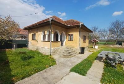 Casă cu 3 camere cu Teren 1000 Mp în Central - 4