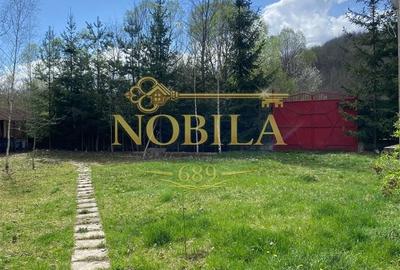 Casă cu 10 camere cu Teren 1332 Mp în Mănăstirea Cașin - 12