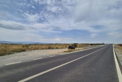 Teren intravilan - 1070 mp - str. Ciocarlau - spre Preajba Teren intravilan - 1070 mp - str. Ciocarlau - spre Preajba - 2