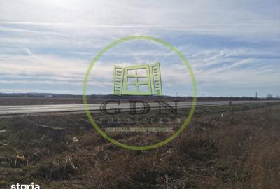 Teren de 21496 mp, în Saca - 7