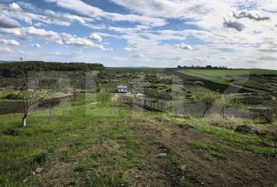 Teren de 500 mp, în Valea Ursului - 1