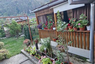 Casa cocheta de vanzare - 6