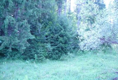 Lepsa Vrancea ,zona retrasa linistita si sigura,cabana si teren de vanzare - 2