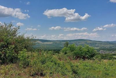 Spațiu comercial, în Curături - 16