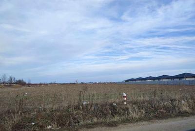 Teren de vanzare 12.070 mp - 4