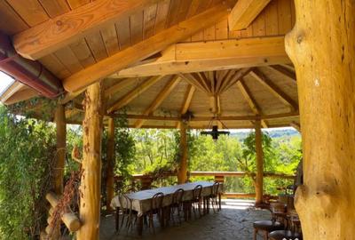 Casă cu 7 camere cu Teren 17000 Mp în Cărbunari - 2