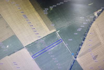 Teren de 10000 mp, în Grădiștea - 3