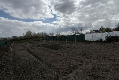 Casă cu 2 camere cu Teren 800 Mp în Mihai Eminescu - 2