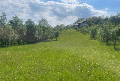 Teren de 5000 mp, în Schiulești - 6