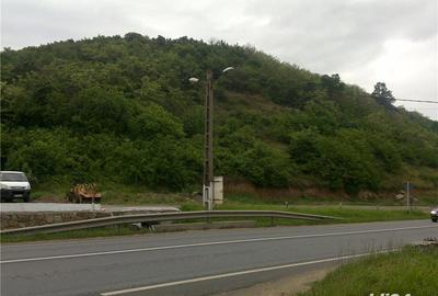 Teren de 46000 mp, în Radna - 2