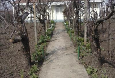 Casă în Central - 4